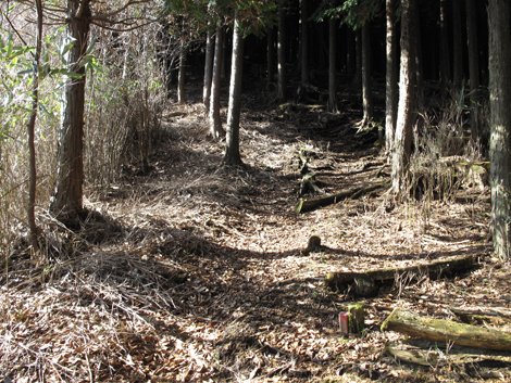 20161216hike (139)